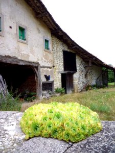 Abezia (Urkabustaiz) 35