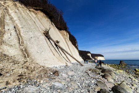 Abgestürzte Bäume Steilküste Rügen - Nationalpark Jasmund