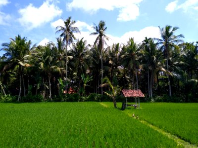 Abiansemal District 2