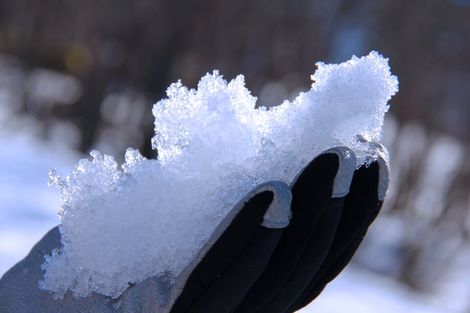 White winter travel