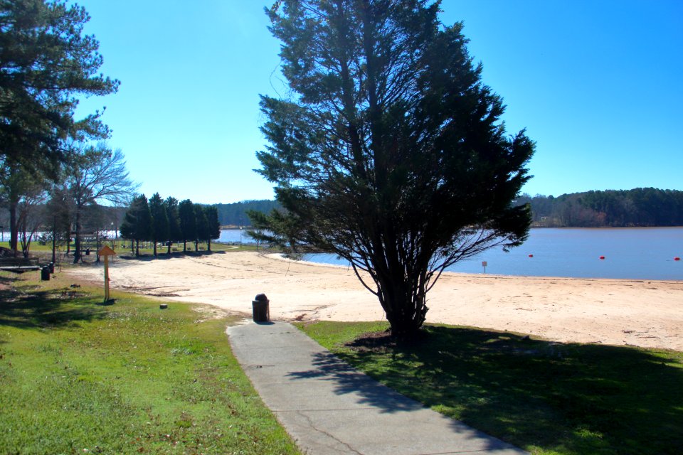 Acworth Beach, Feb 2020