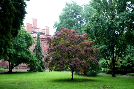 Academy Park - Albany, NY - DSC08360
