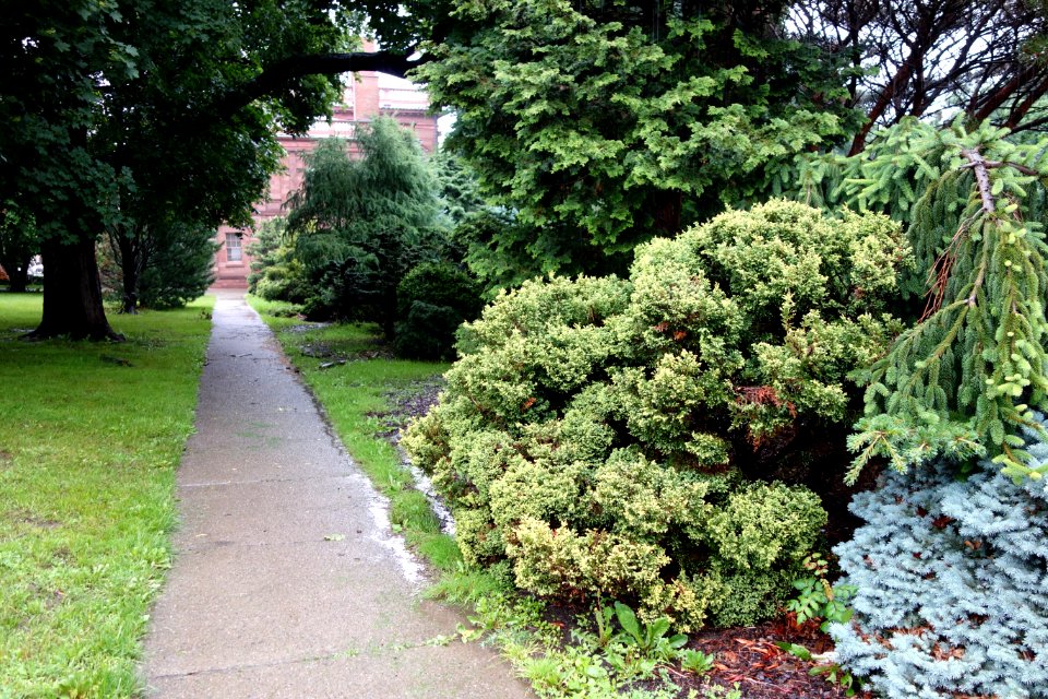 Academy Park - Albany, NY -DSC08361