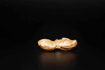 Halved peanut shell peanut shell empty peanut