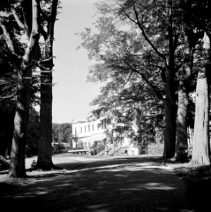 Achtergevel van het paleis, Bestanddeelnr 255-7910