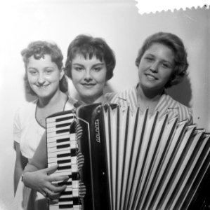 Accordeonconcours (internationaal) te Helmond, Bestanddeelnr 908-9463