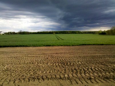 Acker bei Güldengossa bei Wetterumschwung im April 2019
