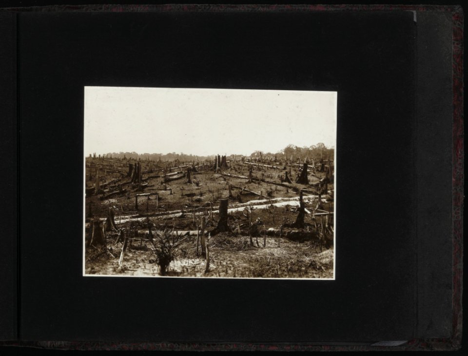 Achterzijde album, Bestanddeelnr 804 41