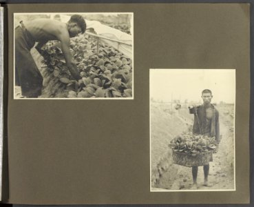 Achterzijde album, Bestanddeelnr 850 34