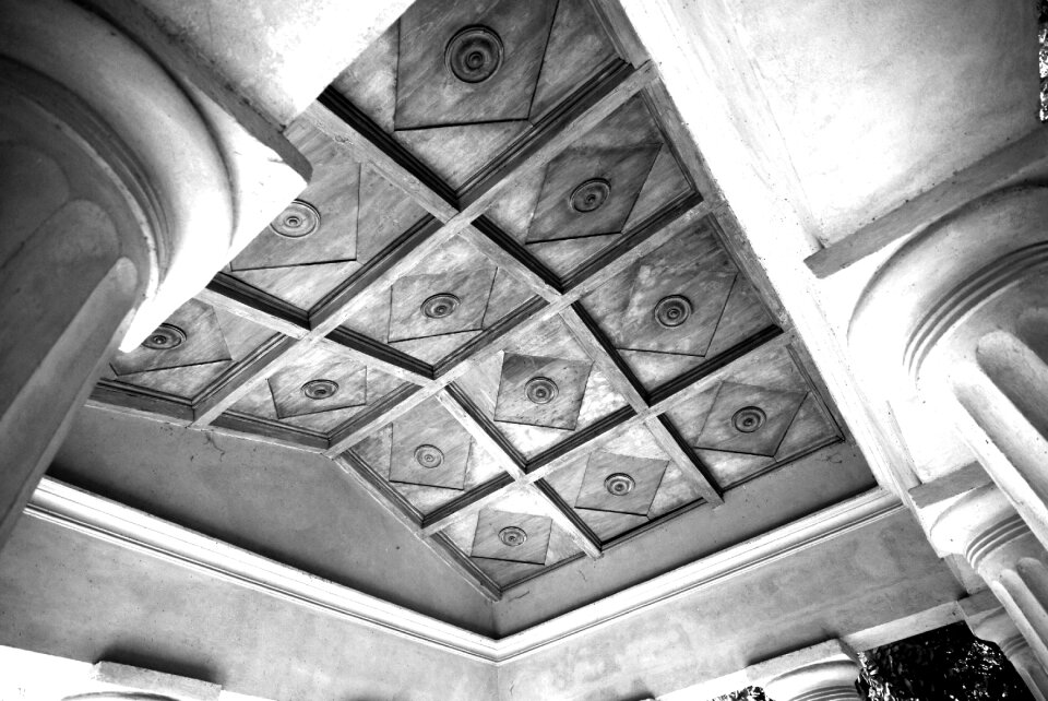 Inlaid ceiling pillar monochrome