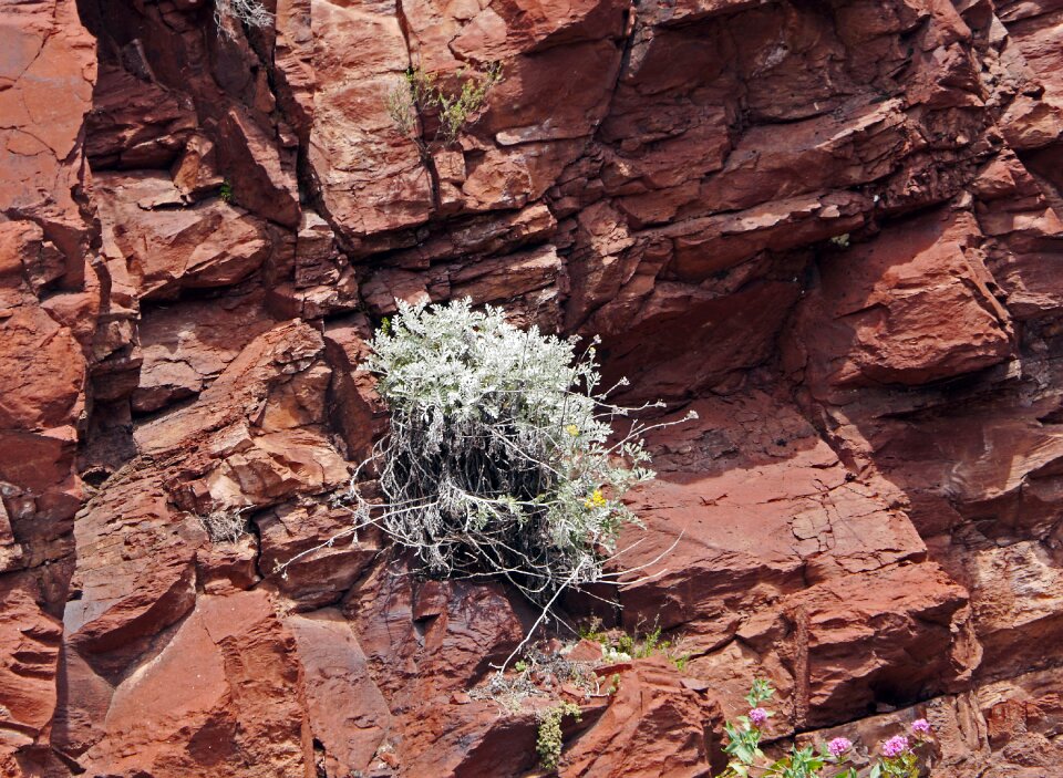 Walls rock columns root