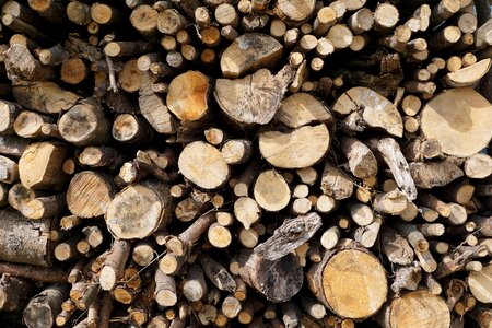 Dry wood stock heat