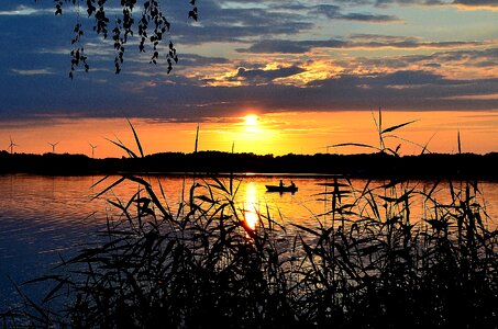 Nature romance sun