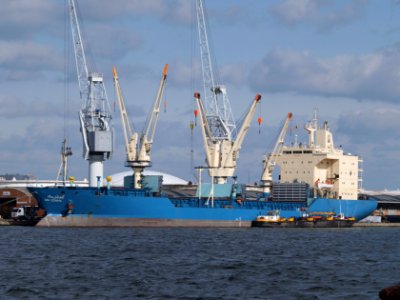 Abu Zenima at Antwerp p1 06March2009