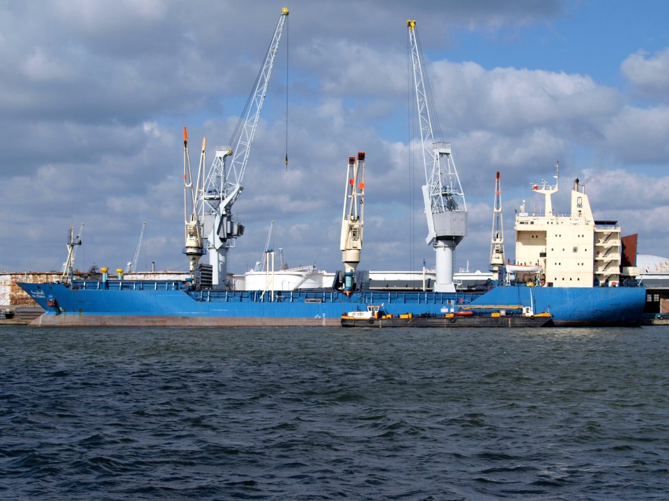 Abu Zenima at Antwerp p2 06March2009