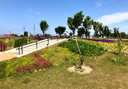 Aburagafuchi-Waterside-Park-4