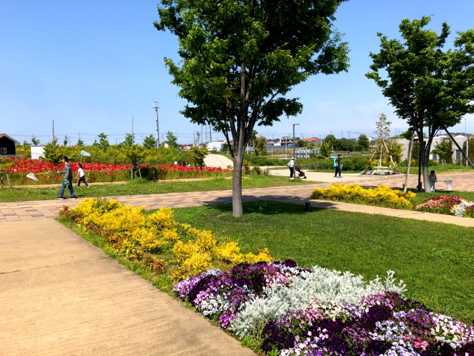 Aburagafuchi Waterside Park-2