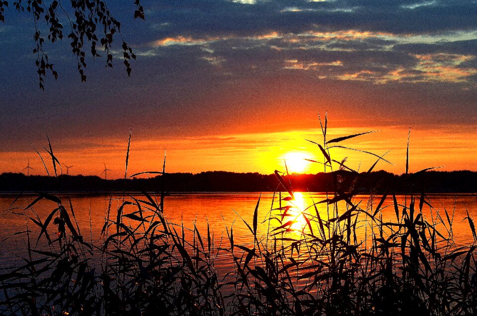 Nature romance sun