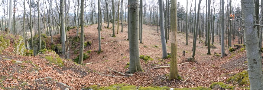Abschnittsbefestigung Winterstein01