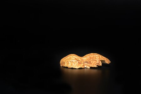 Cut in half half nutshell close up