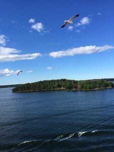 Ocean horizon nordic