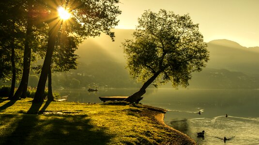 Lighting sun nature