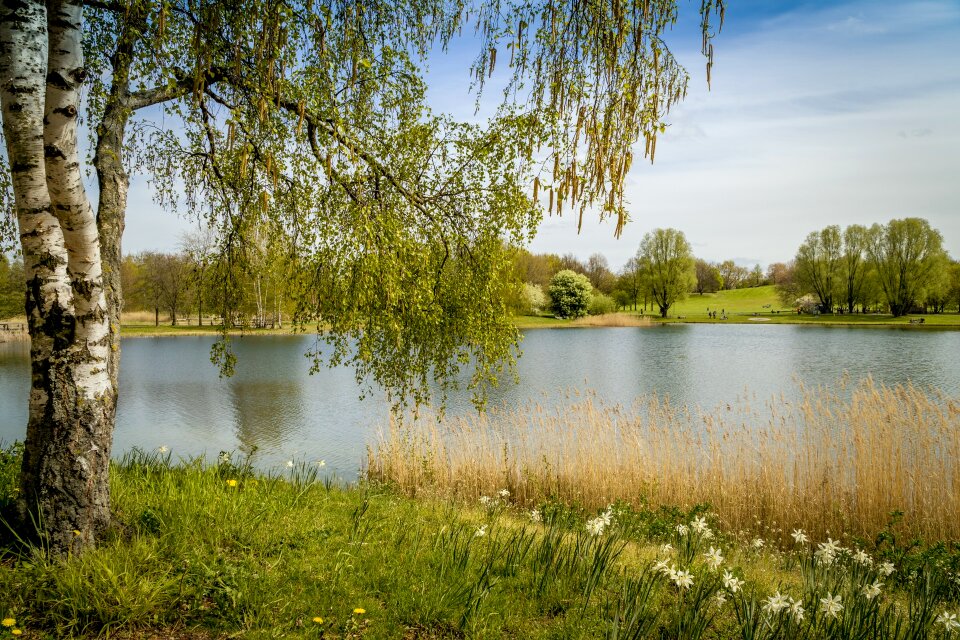 Recovery spring leisure