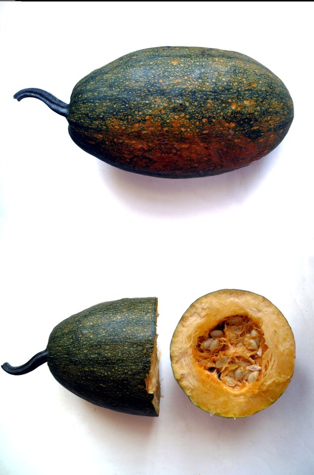 Acchini 2
