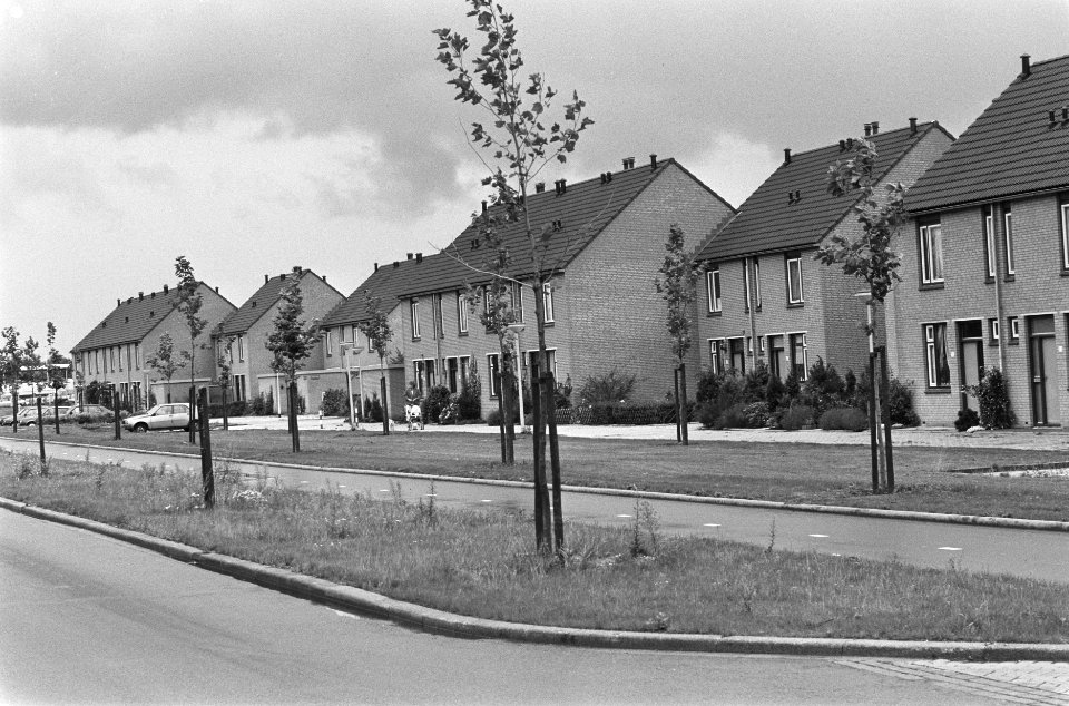 ABP-woningen in Heydnahof te Rotterdam waarvan huur mogelijk te hoog is (rij), Bestanddeelnr 933-7483