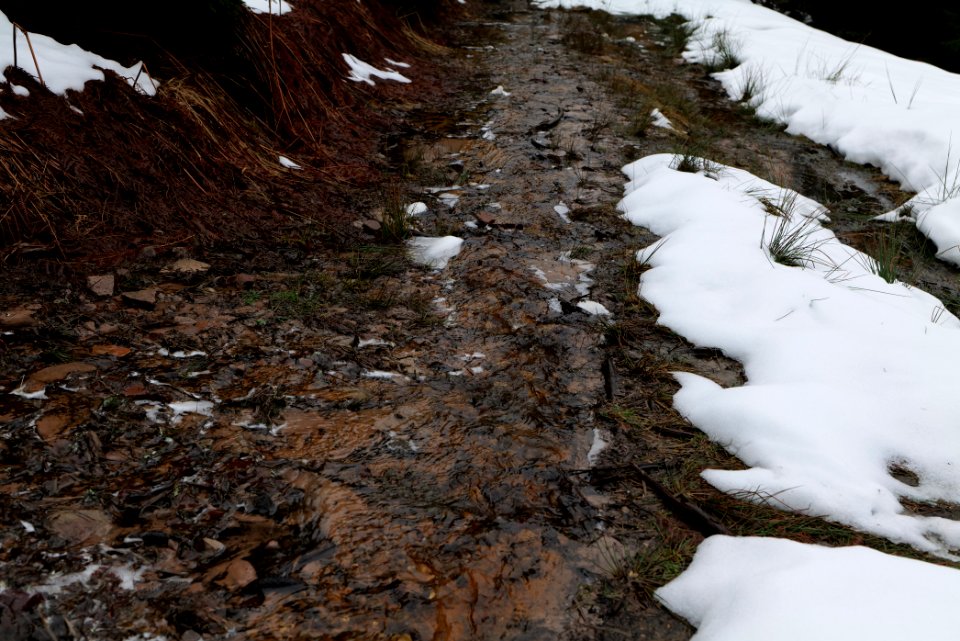 Abondand track in the Black Forest at north of Obertal Baiersbronn 2020-03-11 17