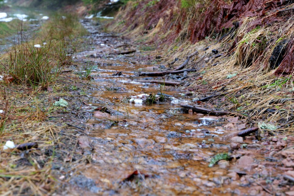 Abondand track in the Black Forest at north of Obertal Baiersbronn 2020-03-11 16