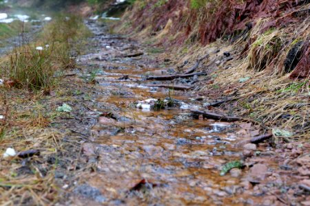 Abondand track in the Black Forest at north of Obertal Baiersbronn 2020-03-11 16