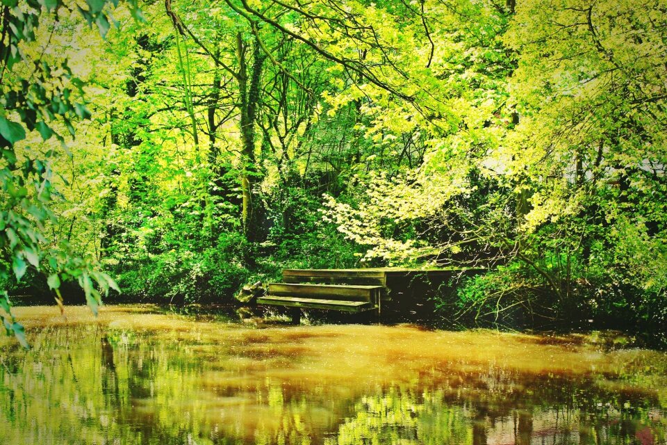 Mood rest landscape