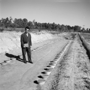 Aanleg wegen, mannen, Bestanddeelnr 250-8595