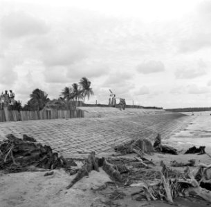 Aanleg van de zeedijk bij de polder van Nickerie, Bestanddeelnr 252-5572
