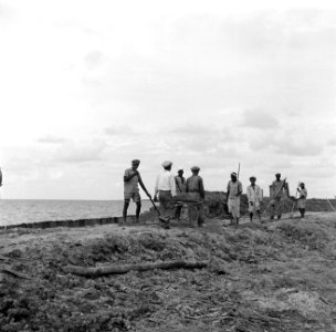 Aanleg van de zeedijk bij de polder van Nickerie, Bestanddeelnr 252-5570
