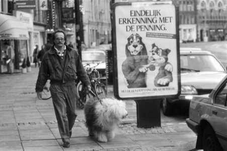 Aankondigingsaffiche voor hondepenningen in Amsterdam, Bestanddeelnr 934-1638