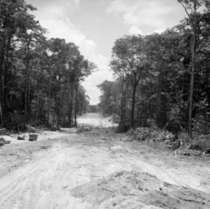 Aanleg wegen, bomen, vaten, Bestanddeelnr 250-8489
