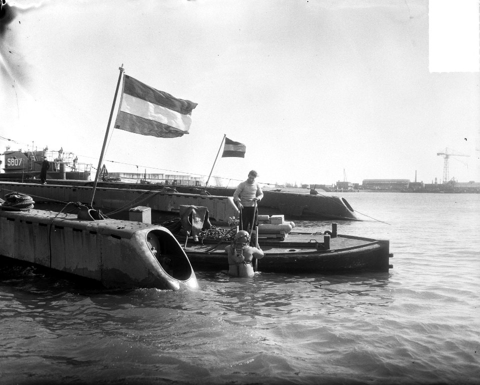 Aankomst Tijgerhaai te Rotterdam, Bestanddeelnr 904-5338