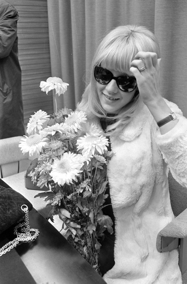 Aankomst Sylvie Vartan op Schiphol, Sylvie Vartan, Bestanddeelnr 919-8629