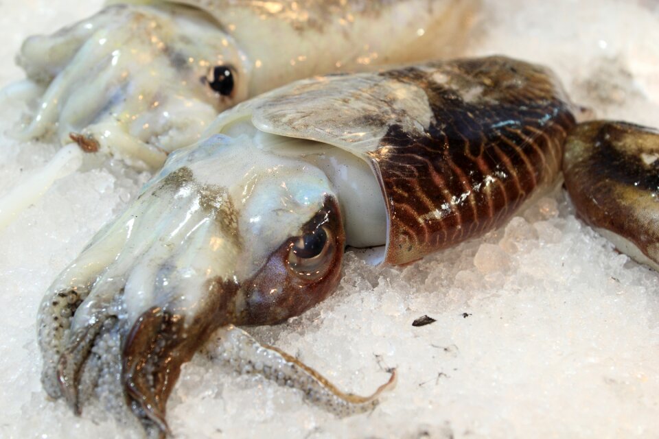 Vendor seafood market
