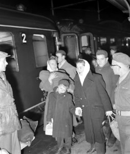 Aankomst Rode Kruistrein met Hongaren te Utrecht, Bestanddeelnr 908-1427