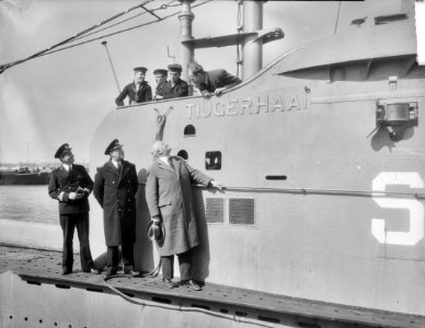 Aankomst Tijgerhaai te Rotterdam, Bestanddeelnr 904-5336