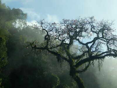 Tucumán argentina fog photo