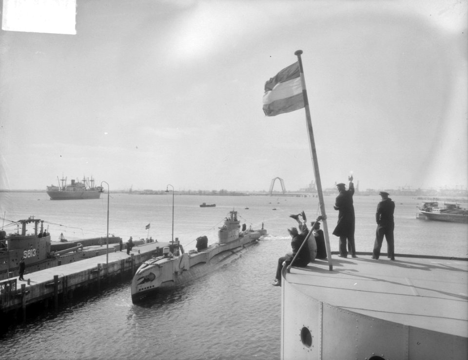 Aankomst Tijgerhaai te Rotterdam, Bestanddeelnr 904-5339