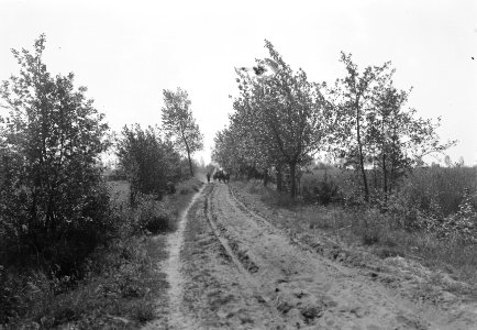 Aanleg en verbeteren van wegen, dijken en spaarbekken paard-en-wagen, Bestanddeelnr 161-0047