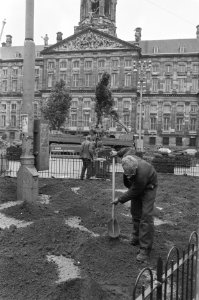 Aanleg Engelse tuin ( Queens Park ) op de Dam te Amsterdam, Bestanddeelnr 934-2820