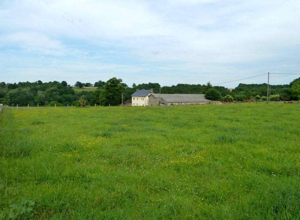 Abère vue 2
