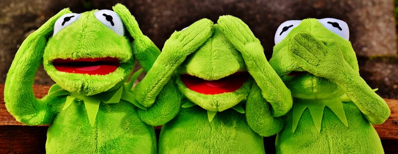 Funny kermit frog photo