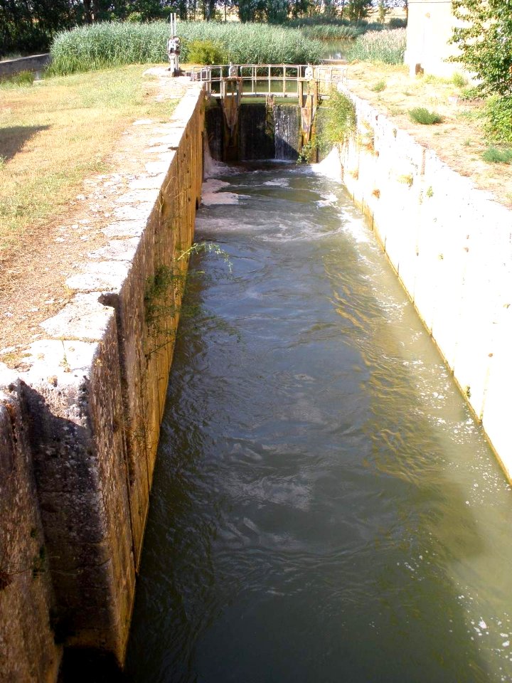 Abarca de Campos 5